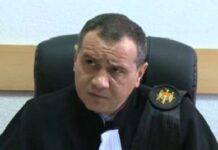 Судить Стояногло будет судья Сергей Папуха