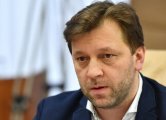 Чьи интересы представляет Дмитрий Алайба?