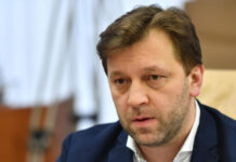 Восторженные посты Дмитрия Алайбы по итогам митинга 21 мая