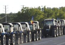 ЕК продлевает льготы для молдавской сельхозпродукции, но наши фермеры почти банкроты
