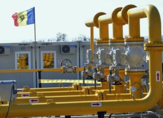 Свободный или регулируемый рынок газа: выбор для экономических агентов