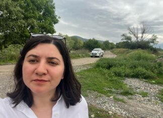 Ирина Табарану совмещает работу и отдых в Грузии