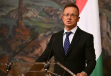 МИД Венгрии считает Грузию достойным кандидатом в члены ЕС