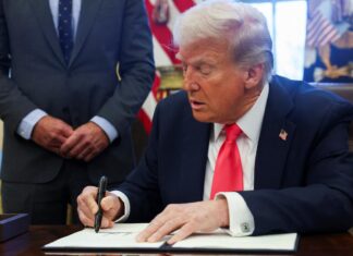 Трамп и интерес США к редкоземельным металлам