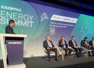 Константин Боросан принял участие в форуме Energy Summit