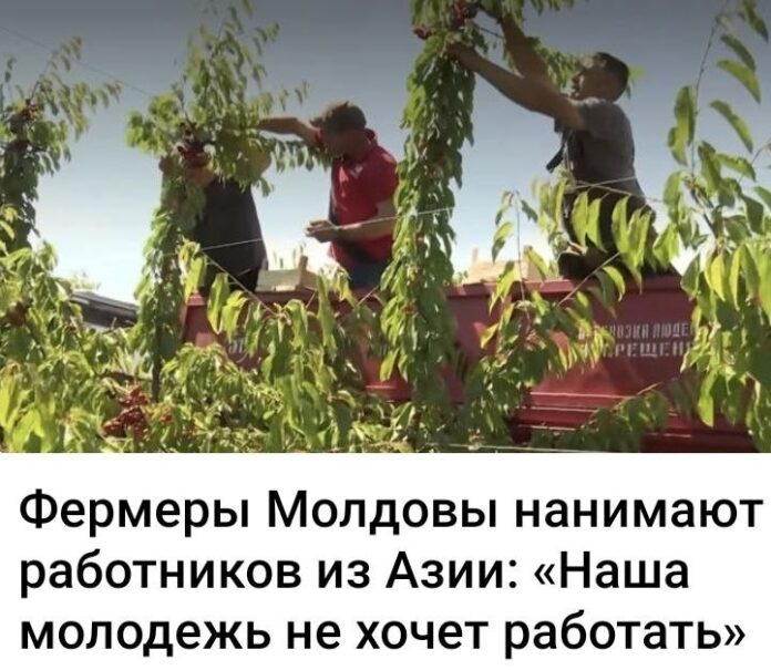 фермеры