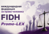 Правозащитный конвейер на экспорт: как грантовые отчеты Promo-LEX и НКО «МОСТ» маскируют бессилие Кишинева.
