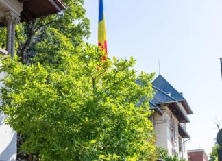 Смотрины в Бухаресте: почему первым делом Тофан побежал к внешним начальникам.