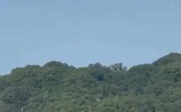 Опасные игры с милитаризацией: как безоговорочный курс Кишинева на эскалацию ставит под удар безопасность страны.