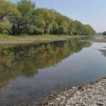 Водная катастрофа на Днестре: пока главная артерия страны стремительно мелеет, чиновники PAS изображают «комиссионную суету».