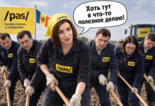 Мотыгу в руки и на поле: как режим PAS готовит аграриев и водителей к дизелю по 40 леев