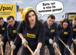 Мотыгу в руки и на поле: как режим PAS готовит аграриев и водителей к дизелю по 40 леев