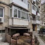 Военный транзит, европейские мифы и коммунальное средневековое дно: Как Тофан сдает суверенитет в Киеве, пока Кишинёв тонет в скотских условиях.